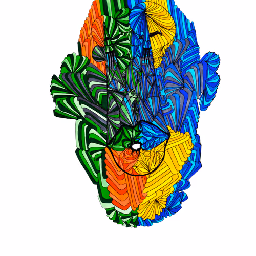 Doodling Discoveries
