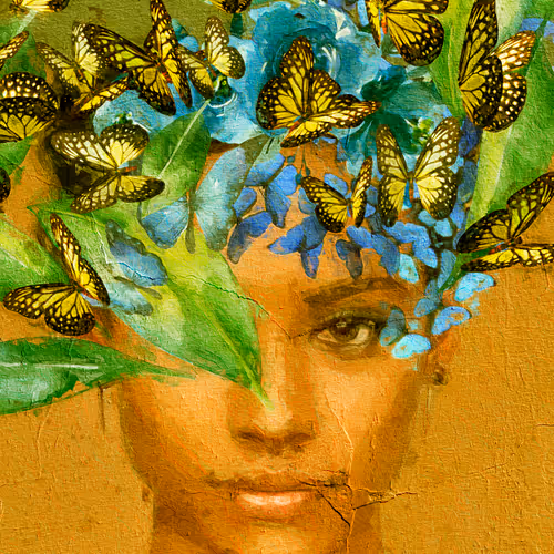 Gala Mirissa Gallery