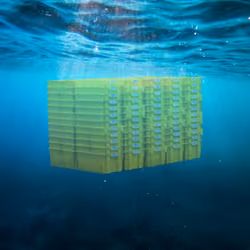 Stack Of Totes Under Water