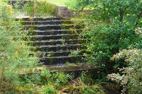 Item #54224321926003694435266939492580043428521878232986181408238757569976218943489 Media