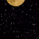 94006019480673951367849532797621362808450889601924661719056886483203194355713