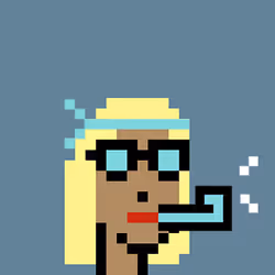 PartyPunk #0136