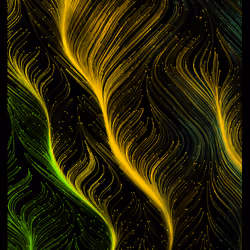 LINUR #274