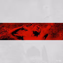 MAXI CD COVER COLLECTION "SONG 47 FREEDOM" (old flag Belarus)