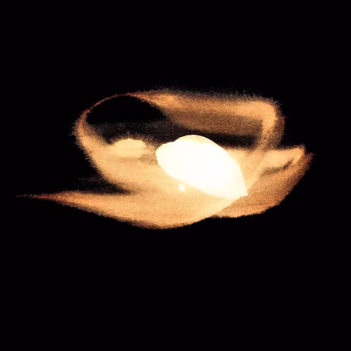 Ross Bleckner Crypto Flare #1