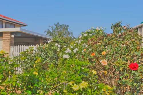 Item #84029125642455646751627882964449646871643598257410714142822988234308720787457 Media