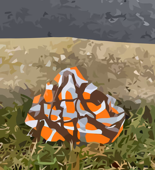 Item #63148674175612639783660022059817010759449972977505759181370920972093940039681 Media