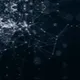 Crypto Experemental + AI IT