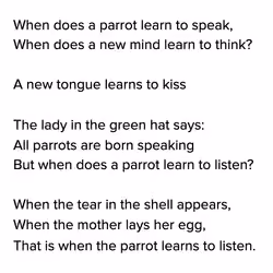 Parrots