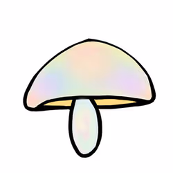 DokiDoki-Kinoko