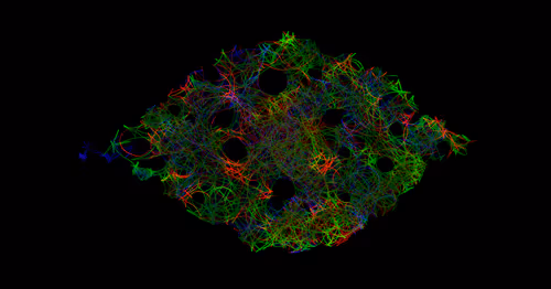 Item #82776758676944145224392687474896913717506445153708102807637183860977229103105 Media