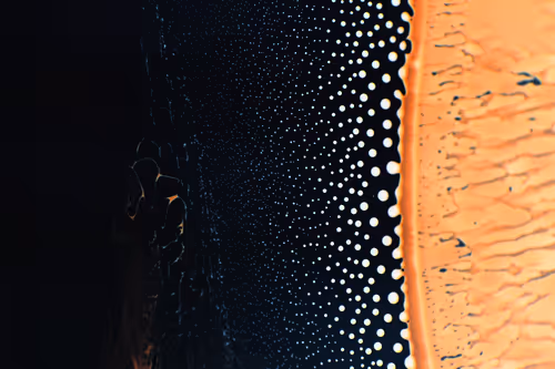 Item #9251341193756129610411101804839683921415719585297066577807806972203867570177 Media