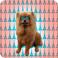 18069411133127541891764540209837632150727605560921678338142275897309534355457