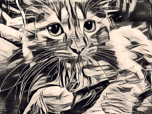 Item #70677597916389332091875359855925065117436584504780574341127713030191999614977 Media