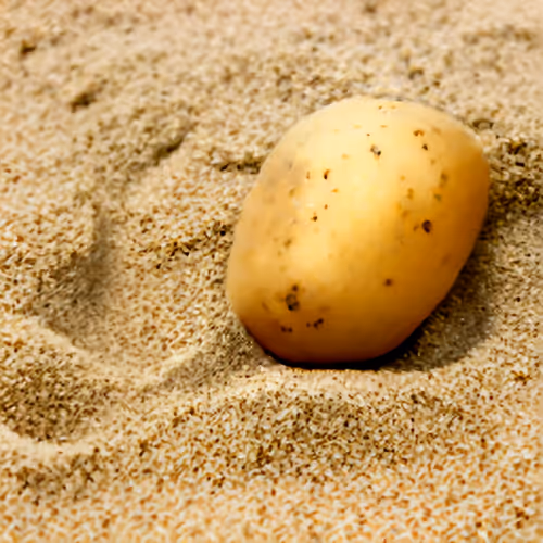 Item #89453679004792973964086315898979416074642512060565453225198959604489491841025 Media