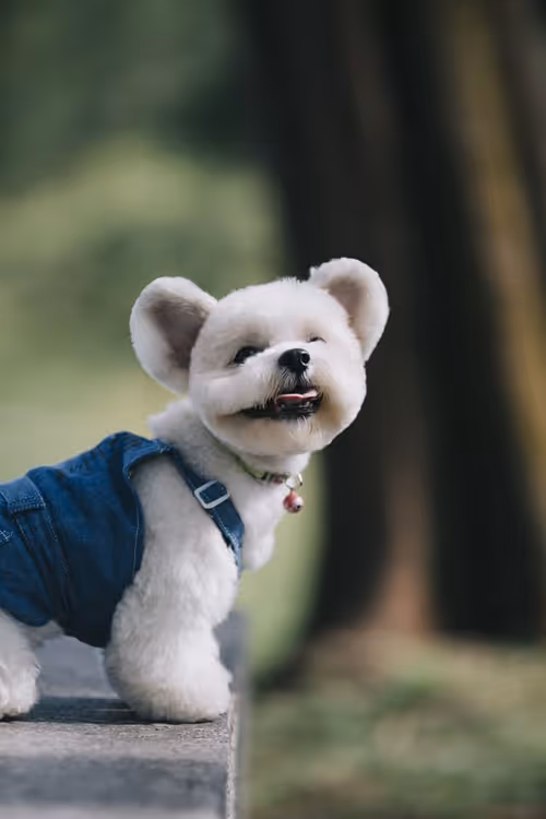 Item #21607923784025543658024067331009769919395041958272689574271021085877017247745 Media