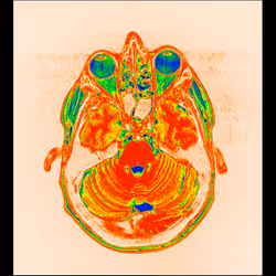 64162533542198579898252916190583583845604629893829087458582976088840133935105