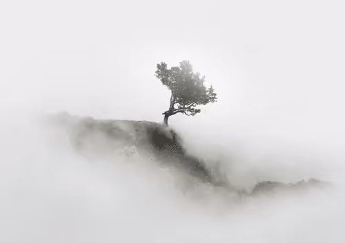 2BOptik Collection - old