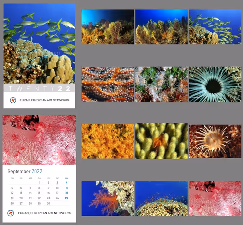 Item #114715860363491725936054986151154862401671352018377553458348720584861979508836 Media