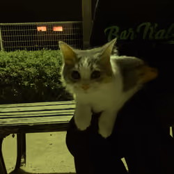 Eddie848