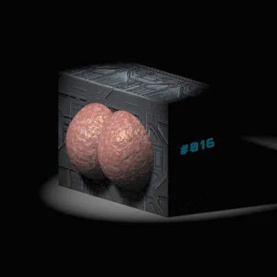 Item #76896531291442943334974629844510447756851151435301215683733002705215263080449 Media