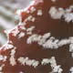 29592641963533403329513761393074502855687887574358317654118436515959455875073