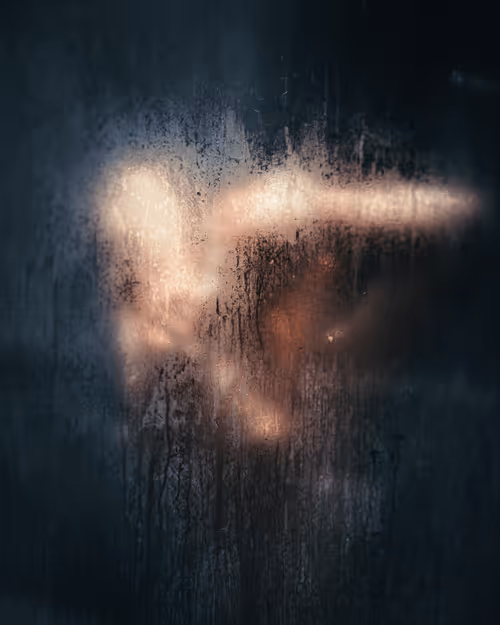 Item #90158978516631370948644440672869718136807510151827642584556524692676580212737 Media