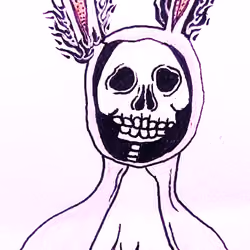 Bunny Darko