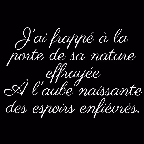 Item #74371741931470645784912528948589980971587939009711764784213724817980185903105 Media