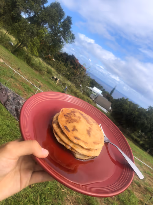 Item #111384347419130010131898734196272882001680551158239169533315207331760039788545 Media