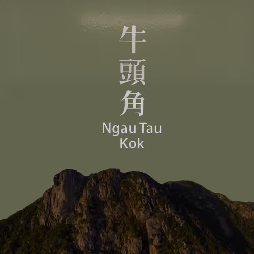 Item #14441479072596904924379563928452232128741724036170926661084432773952084901889 Media