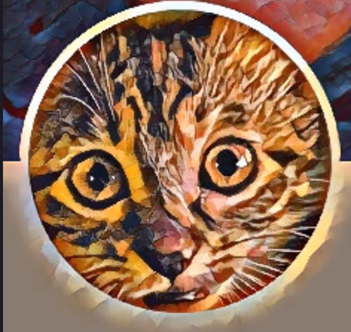 Item #3700553934167257069696509252628292804332782858597936228275578964910320648193 Media