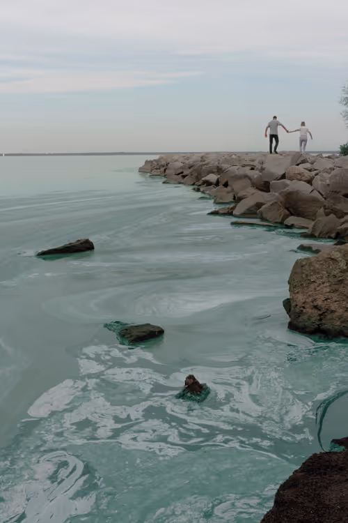 Item #80429871025811185059637884652673309792751753756700706488218533682962623365121 Media