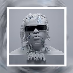 DS4 Album Cover