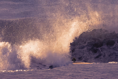 Item #94302163411569095589289123968041002973019814470584416299482263142816938983425 Media