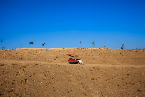 Item #5606426941725502535038272761259107725542531596447892324367451157332829929473 Media