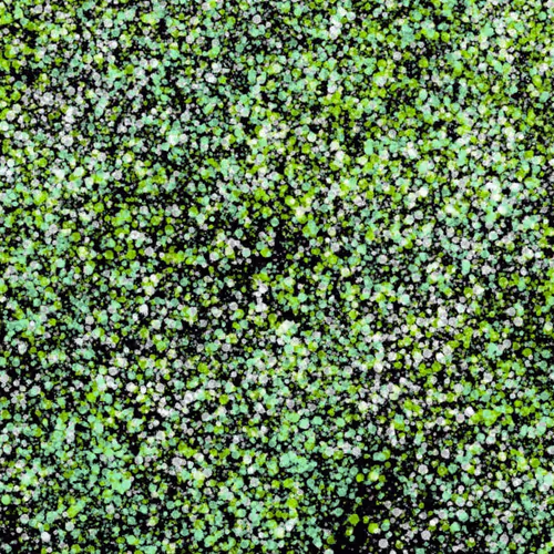 944858660688572096584618472555991747686703840338442188877309630247314915329