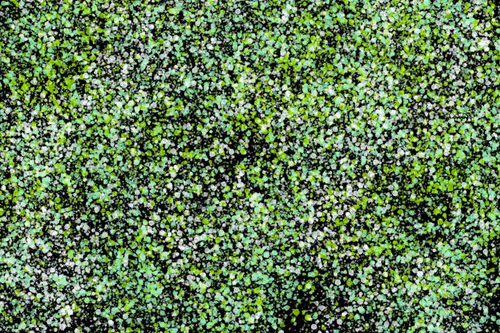 Item #944858660688572096584618472555991747686703840338442188877309630247314915329 Media