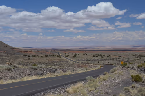 Item #2560167528831681655449026720249695031072996054742885035460294037765772804097 Media