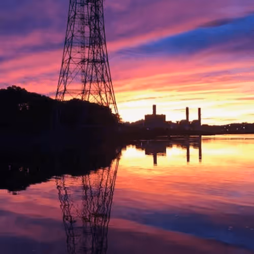 Cmonsmile20 Collection