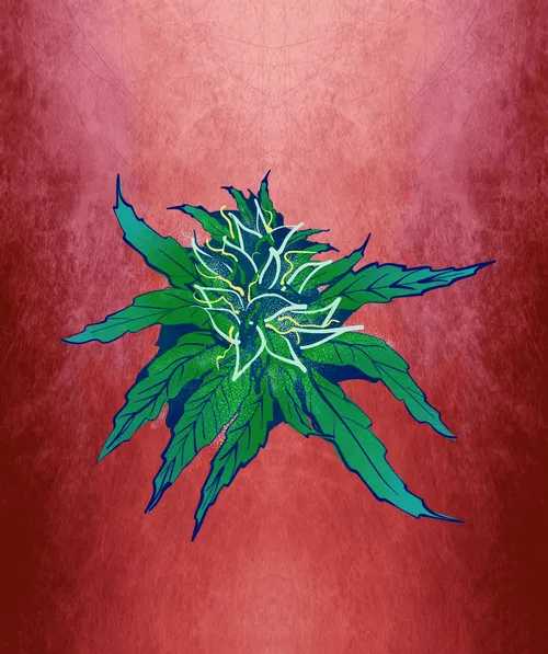 Item #88173920956366532206384104525204378846175092179682069740847406081531864678401 Media