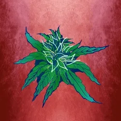 Green Crack