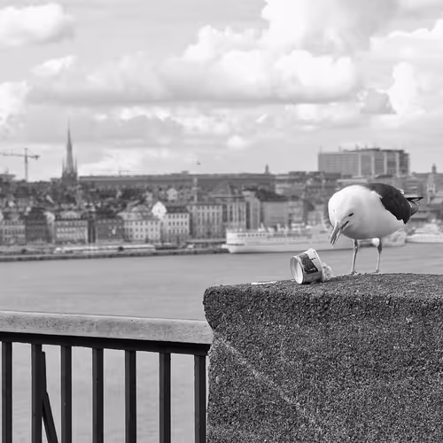 40449787652065743018640773044495240111019622512701765753694832852119232446465