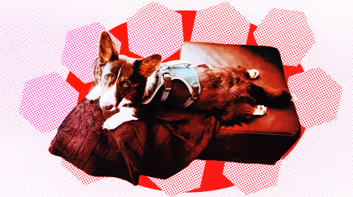 Item #5064369323868941142529800422530870608449267944386714411348494306588592439297 Media