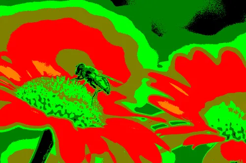 Item #95930744612989253264341458363878669706731092846429446161851758902591172378625 Media