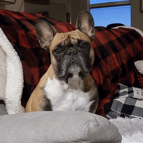 Untitled Collection #176738274