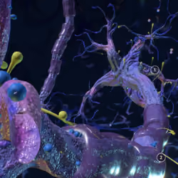 Neurons #0008