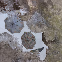 Inverted Umbrellas