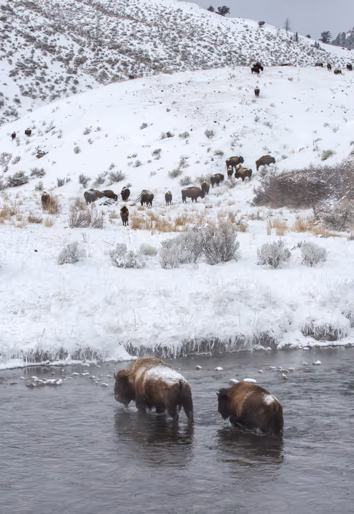 Item #19207338348144225692080396183640865546201068415206893468727031802487350755329 Media