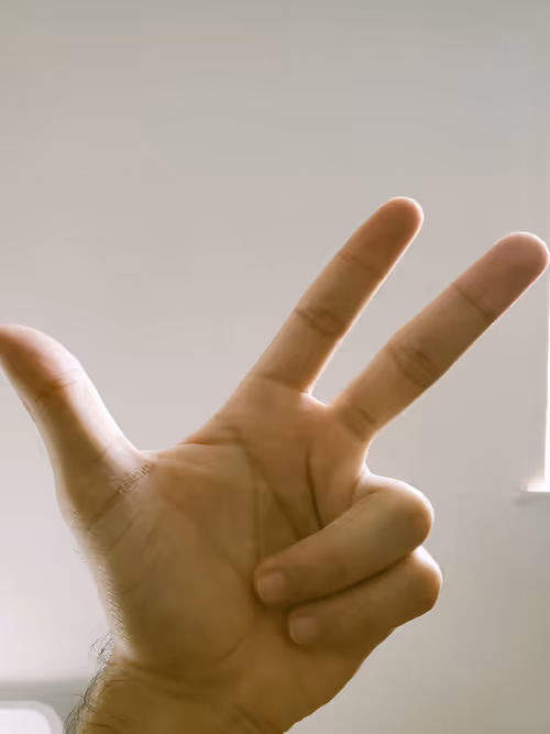 Item #56197781716024537677239957296666058743458333149567891362678828862405708087297 Media